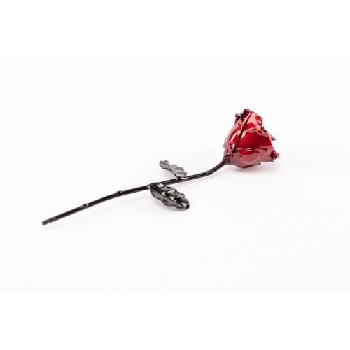 Rose Red/Black with base 2