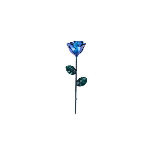 Rose Chameleon Cyan & Green 2