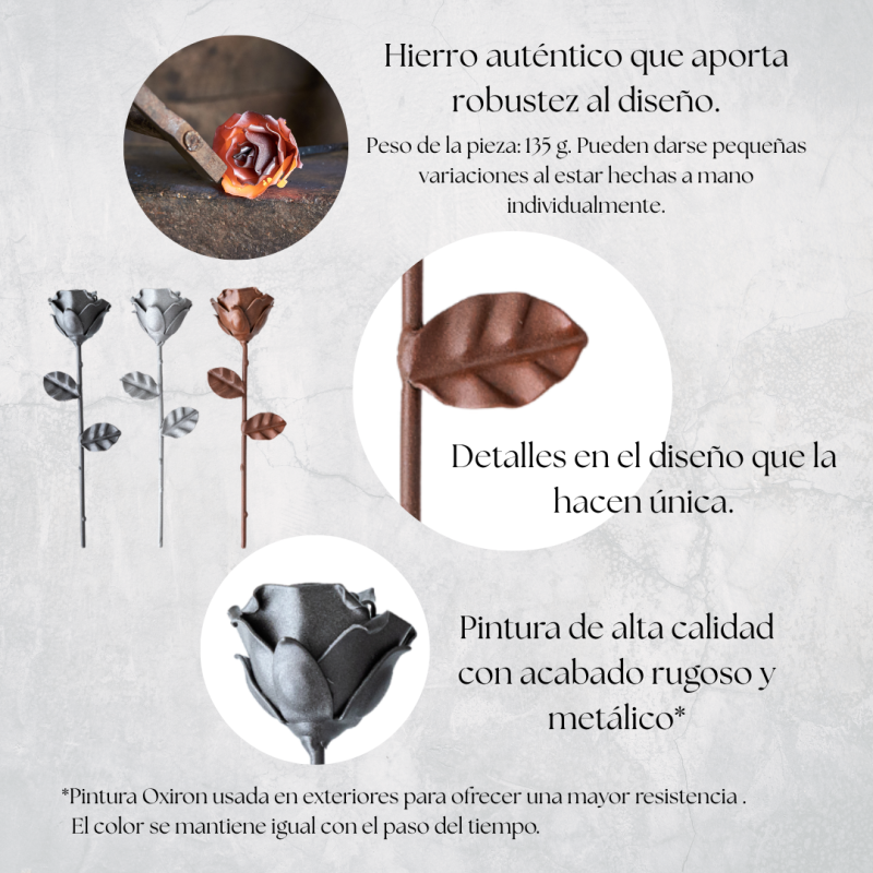 Rosa Gris