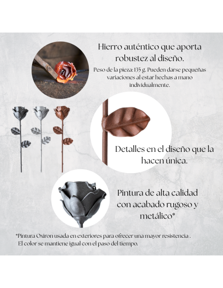 Rosa Gris