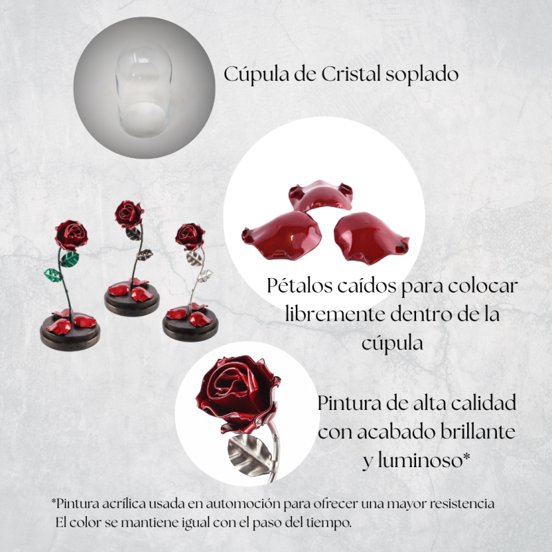 Rosa Roja/Plateada con grabado en la cúpula