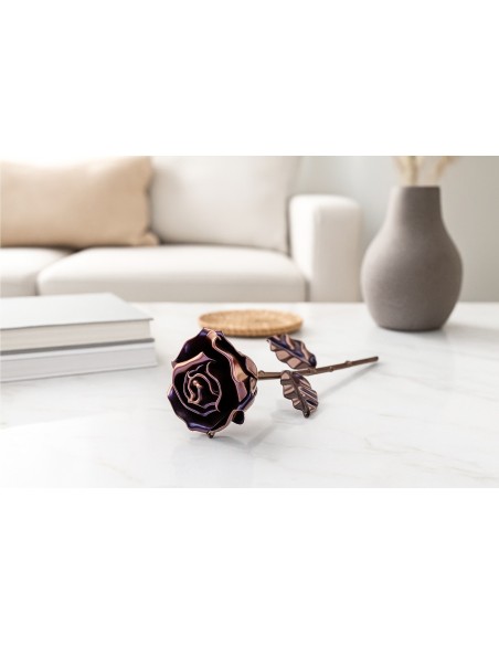 Rose Chameleon Purple