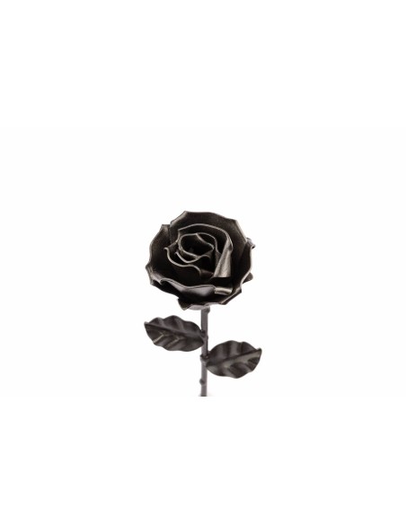 Rose Black