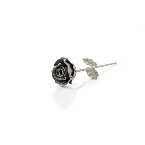 Rosa Gris 2