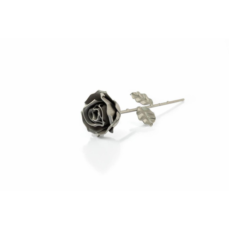 Rosa Gris