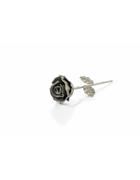 Rosa Gris