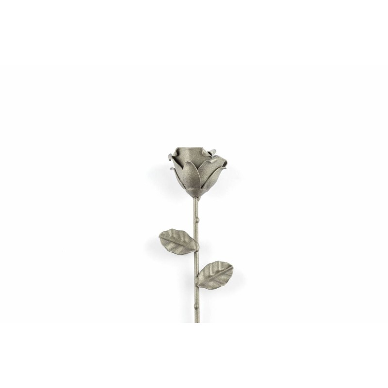 Rosa Gris