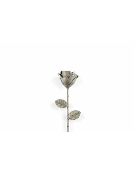 Rosa Gris