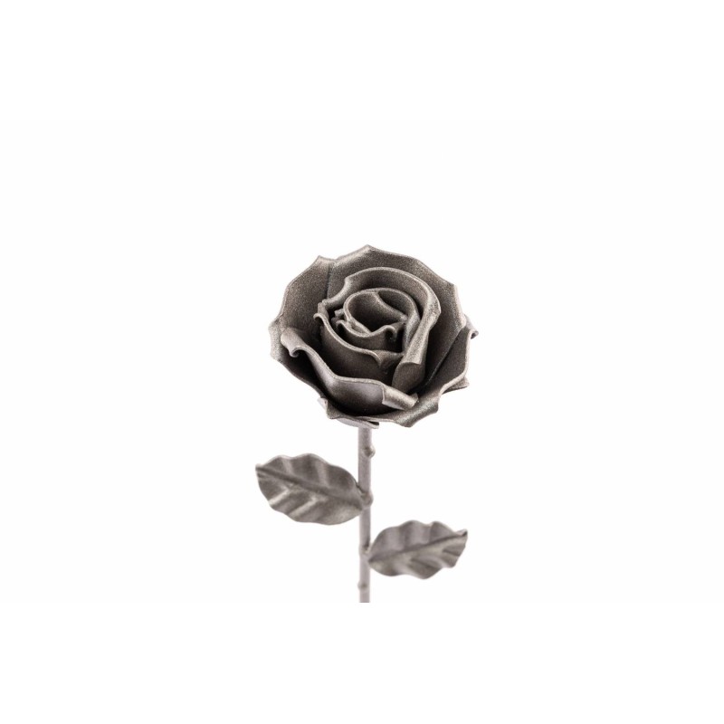 Rosa Gris