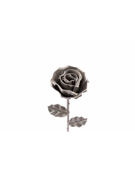 Rosa Gris