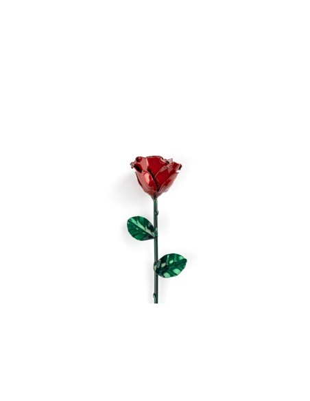 Rosa Roja/Verde
