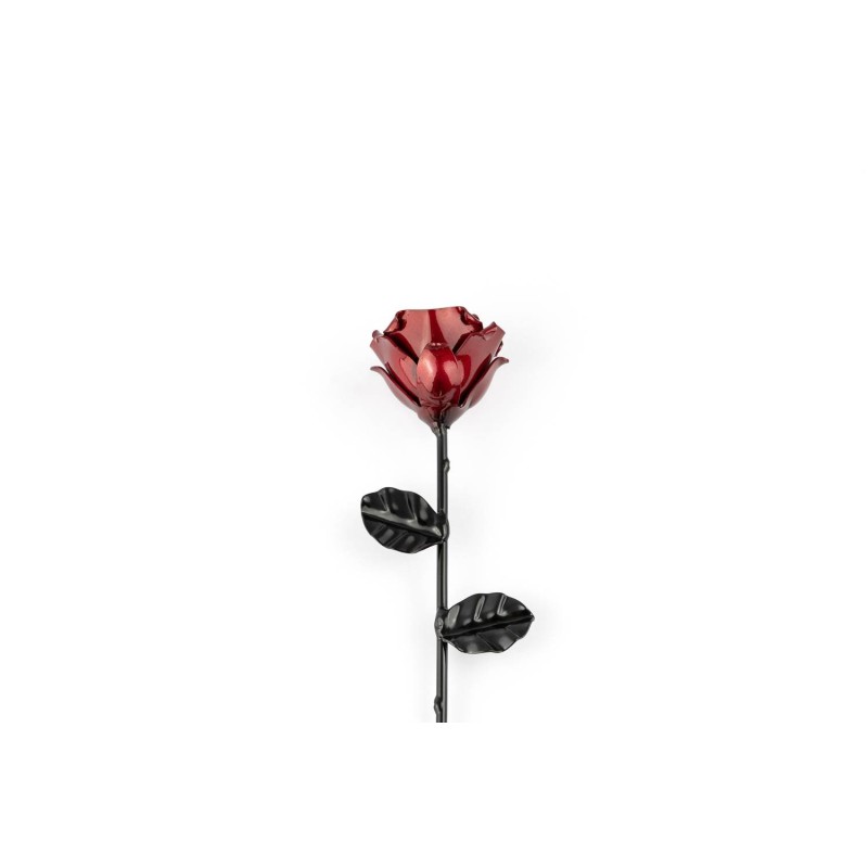 Rosa Roja/Negra