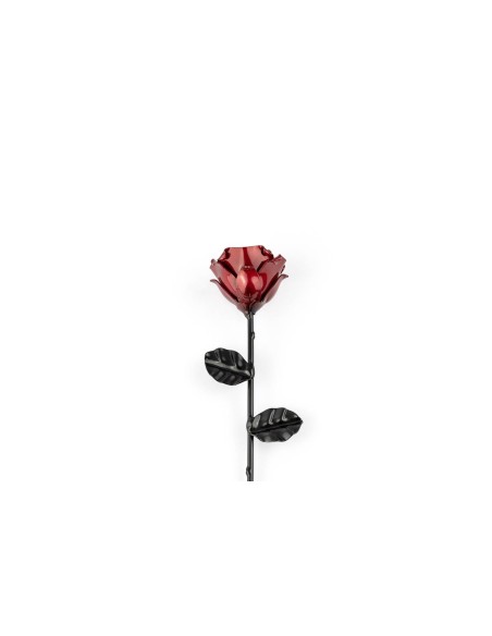 Rosa Roja/Negra