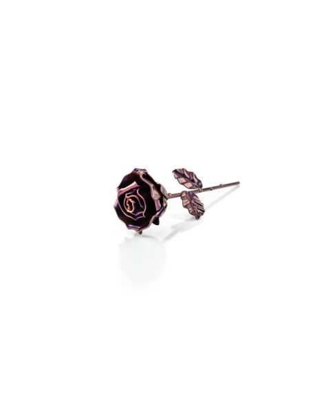 Rose Chameleon Purple