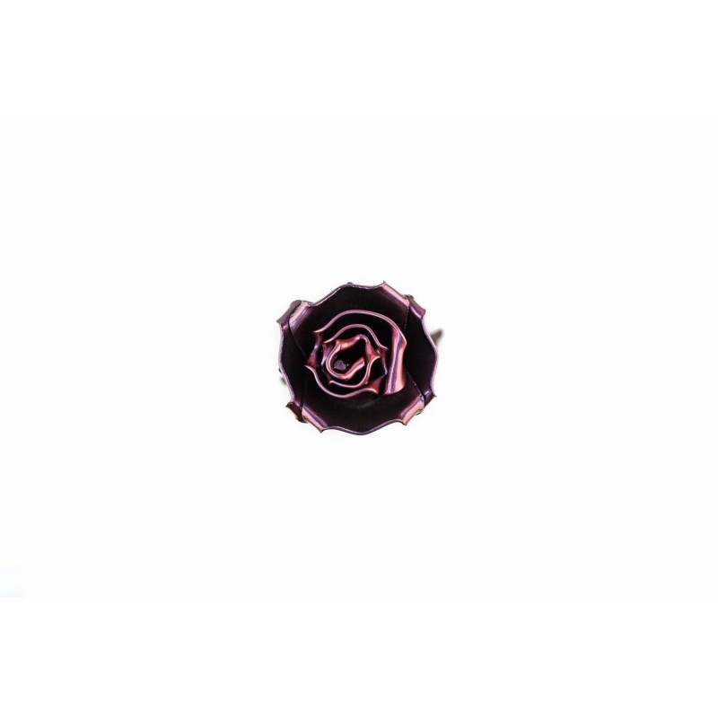 Rose Chameleon Purple