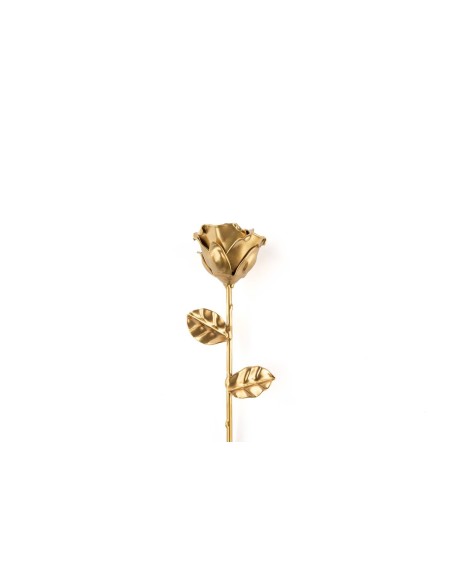 Rosa Oro