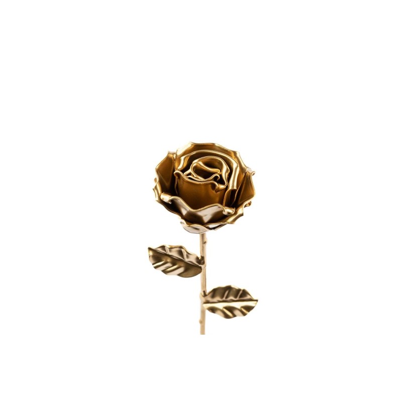 Rosa Oro
