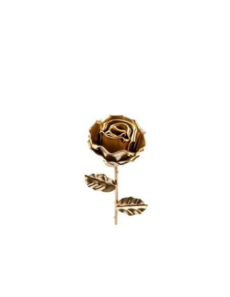Rosa Oro