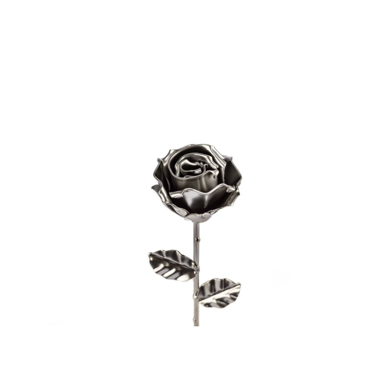 Rosa Plateada