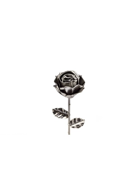 Rosa Plateada
