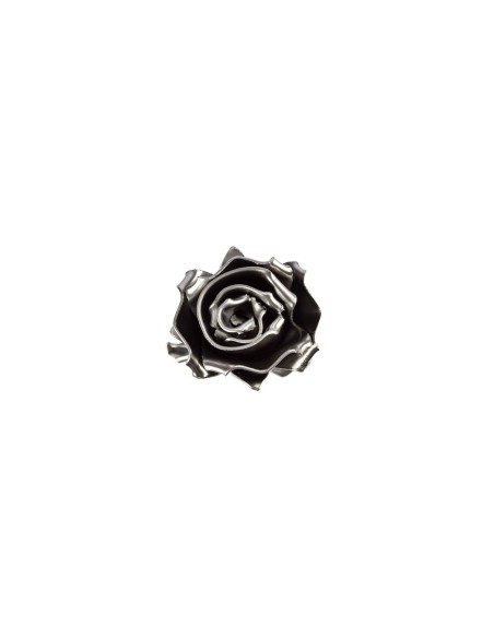 Rosa Plateada