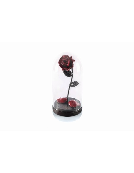 Rosa Roja/Negra personalizada con cúpula